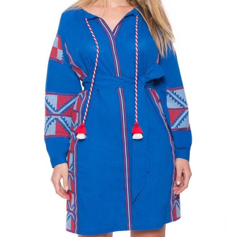 Eloquii Embroidered dress